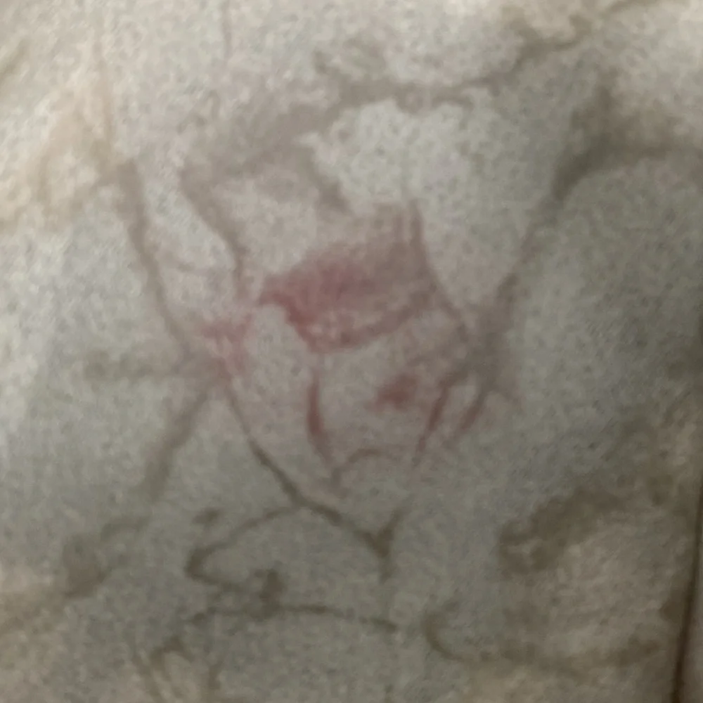 Solitaire coat 💚 - Picture 4 of 4